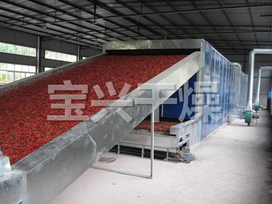 DWC系列脱水蔬菜带式干燥机