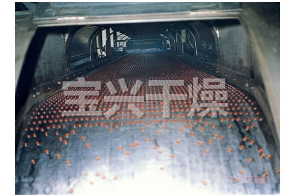 RL系列熔融造粒机